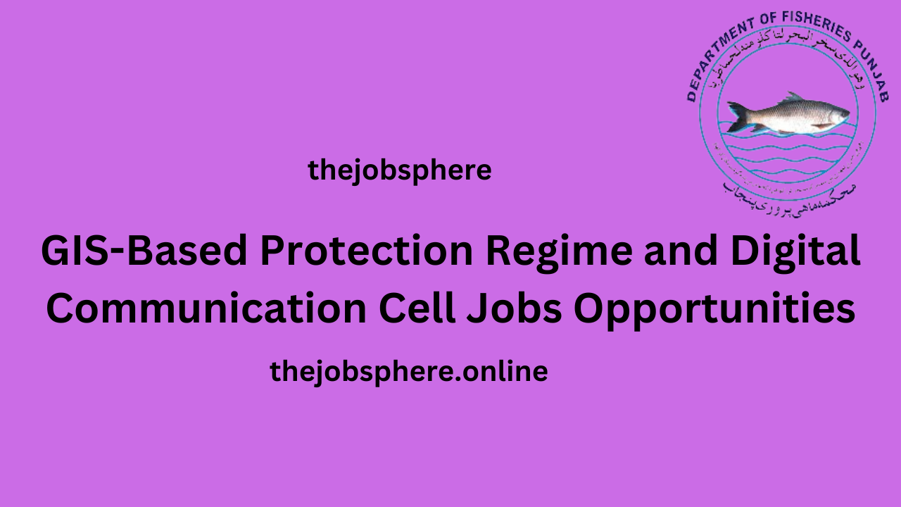 Pakistan Lahore Job