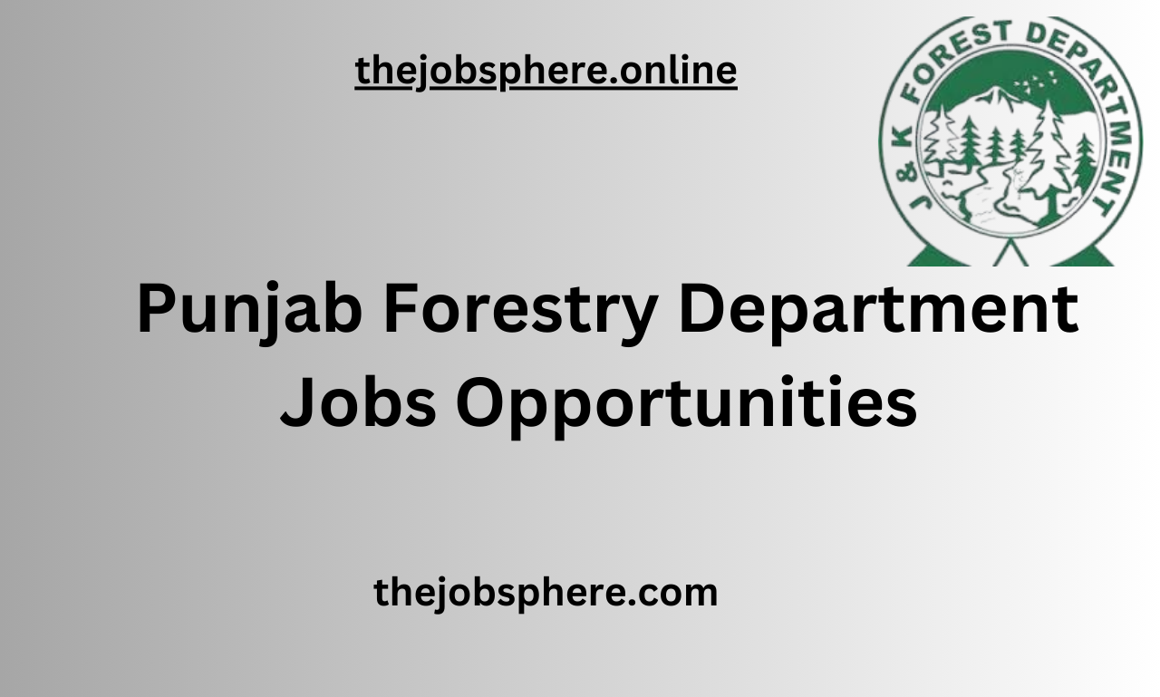 Pakistan Lahore Jobs